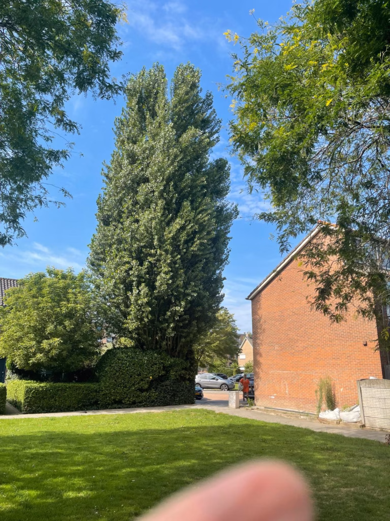 Betrouwbare Hovenier