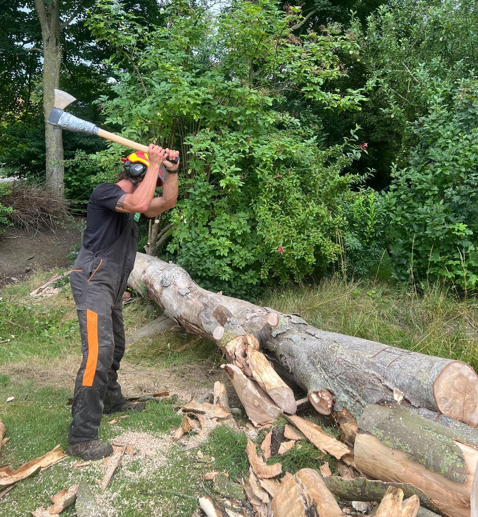 Man hakt met een bijl een gevelde boomstam in stukken tijdens het boom kappen